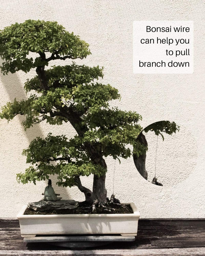 MoHern طقم أدوات بونساي مع 5 قطع من سلك بونساي، إجمالي 164 قدم من سلك شجرة بونساي للأشجار الداخلية، 3 أحجام من الألمنيوم 1 مم، 1.5 مم، 2 مم - Image 3